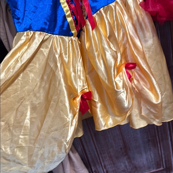 Adult Sz Small Snow White Costume - Blue, Yellow, and Red - Picture 3 of 7